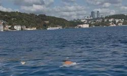 FSM Köprüsü'nde intihar girişimine vatandaşlar müdahale etti