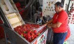 Gaziantep'te kışlık salça üretimi hız kazandı