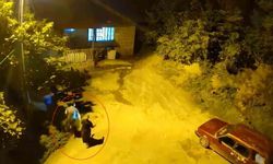 Geceyi Ayı Sesleri Sarstı