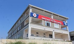 Gemlik'te elektrik akımına kapılan firari hükümlü hayatını kaybetti