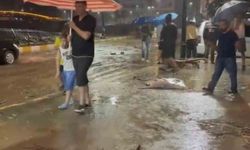 Giresun'da Şiddetli Yağışlar Dereleri Taşırdı