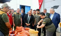 Giresun'da TMO Fındık Alım Sezonunu Başlattı