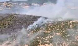 Gördes'teki orman yangını 4 saatte söndürüldü