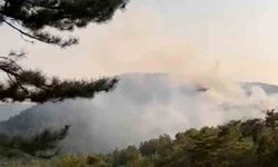 Göynük'te Orman Yangını Kontrol Altına Alınmaya Çalışılıyor