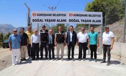 Gümüşhane'de Sokak Hayvanlarına Özel Yaşam Alanı Kuruldu