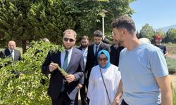 Hama heyeti Kocaeli'de tarımsal projeleri inceledi
