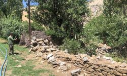 Harabe Haldeki Şeyh Rehani Türbesi İçin Hayırseverlere Çağrı