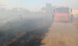 Hassa'da Zeytinlik Alanda Yangın Kontrol Altına Alındı