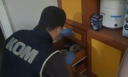 Hatay'da Çapinler ve Sasunlu Gruplarına Operasyon: 16 Gözaltı