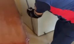 Hatay'da yerleşim alanlarına giren yılanlar güvenle yakalandı