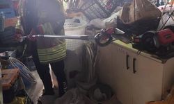 Hatay'da yerleşim alanlarına giren yılanlar kontrol altına alındı