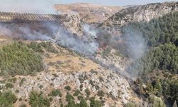Hatay'daki orman yangını söndürüldü