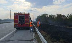Havsa'daki anız yangını otoyolu dumanla kapladı