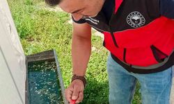 Haziran böceğiyle mücadele çalışmaları devam ediyor