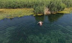 Iğdır'da sıcak günler, Karasu Sazlığı'na ilgi artırıyor