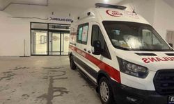 İncir ağacından düşen adam hastaneye kaldırıldı
