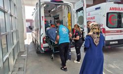 İncir toplarken ağaçtan düşen adam hastaneye kaldırıldı