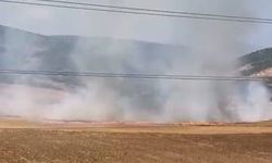 İnegöl'de Tarlayı Ateşe Veren Genç Gözaltına Alındı