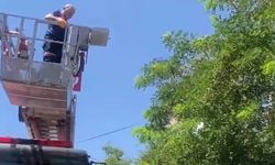 İpi dolanan karga itfaiye tarafından kurtarıldı