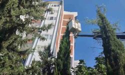 İtfaiye, Ağaçta Mahsur Kalan Kediyi Kurtardı