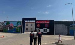 Jandarma, aranan 24 şüpheliyi yakaladı