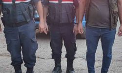 Jandarma ekipleri yaralı dağ keçisini kurtardı