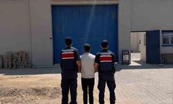 Jandarma, Hırsızlıkla Aranan Şahsı Kent Merkezinde Ele Geçirdi