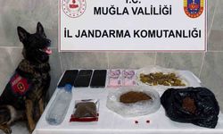 Jandarma KOM, Temmuz'da 24 Kaçakçılık Operasyonu Düzenledi