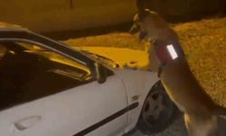 Jandarma, otomobil kaputunda uyuşturucu buldu