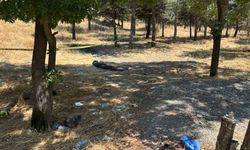 Kadın cinayeti alacak-verecek yüzünden işlendi iddiası