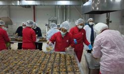Kadın Emeği Tarımsal Ürün Fabrikası ile Yerel Üretim Global Pazarla Buluşuyor