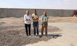 Kahramanmaraş'ta Ay Çekirdeği Hasadı Başladı