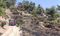 Kahramanmaraş'ta Orman Yangını Hızla Kontrol Altına Alındı