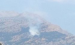 Kalems Dağı'nda Yangın: Baykan'da Korkutan Gelişme