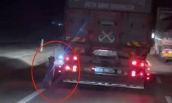 Kamyonetin Arkasında Bağlı Köpek Kilometrelerce Sürüklendi