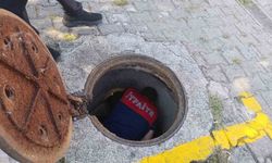 Kanalizasyona Sıkışan Yavru Kedi İtfaiye Ekipleri Tarafından Kurtarıldı