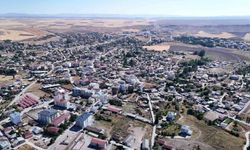 Kangal Termik Santrali'nin uzman ellere devri istendi
