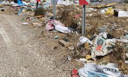 Kapıdağ Yarımadası'ndaki Çöp Sorunu Turizm için Tehdit Oluşturuyor
