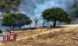 Karabük'te anız yangını kontrol altına alındı