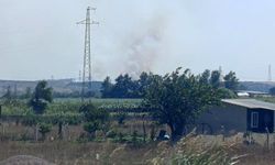 Karacabey'de makilik alanda çıkan orman yangınıyla mücadele devam ediyor