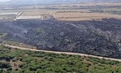 Karacabey'de orman yangını, fabrikaya ulaşmadan söndürüldü