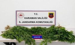 Karaman'da jandarma denetimlerinde 34 kişi yakalandı, 4'ü tutuklandı