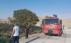 Karapınar'da çıkan ot yangını endişe yarattı