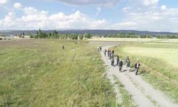 Kars ve Ardahan'da 52 Bin Hektar Arazi Toplulaştırma Projesi İncelendi