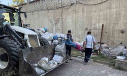Karton Yığdı, Temizlikte Tepki Gördü