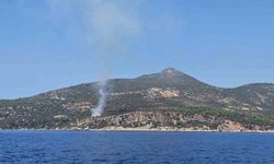 Kaş'ta makilik alanda yangın kontrol altına alındı