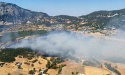 Kaş'ta orman yangını 2,5 saatte söndürüldü
