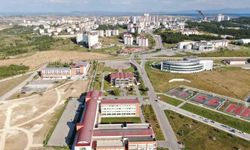 Kastamonu Üniversitesi, bezelye kabuklarından manyetik biyokömür üretti