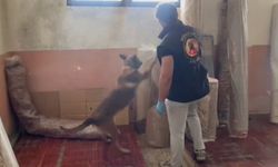Kastamonu'da narkotik operasyonu: 15 kişi gözaltında