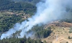 Kastamonu'da Orman Yangını Hızla Kontrol Altına Alındı